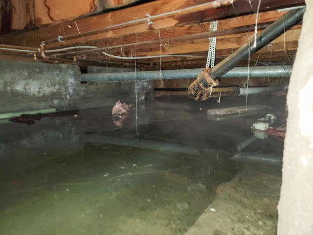 Best Water damage cleanup near me  in Portola Valley, CA