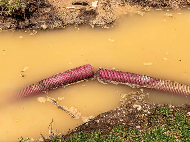 Best Flooded house restoration  in Portola Valley, CA