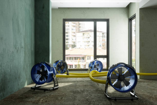 Best Flood restoration services  in Portola Valley, CA